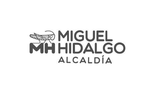 Logos-gris-2-05-Miguel Hidalgo